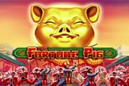 The-Fortune-Pig